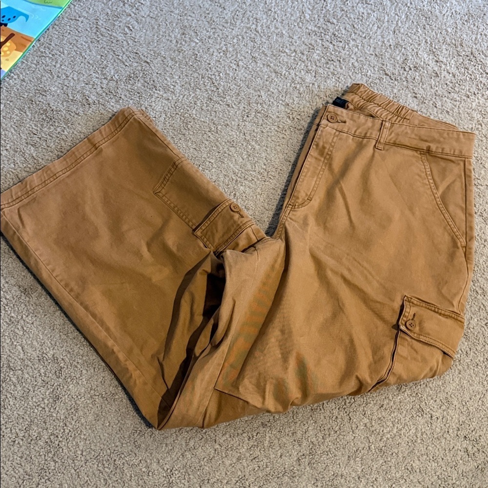 Wild Fable Beige Elastic Waist Pants